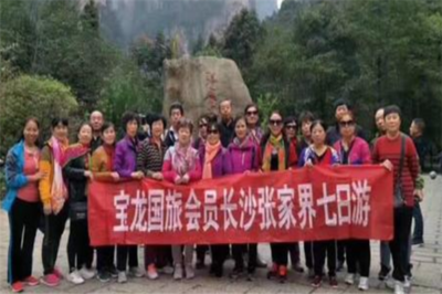 寶龍國際旅行社 開啟您的精彩旅程，專業旅游服務的不二之選