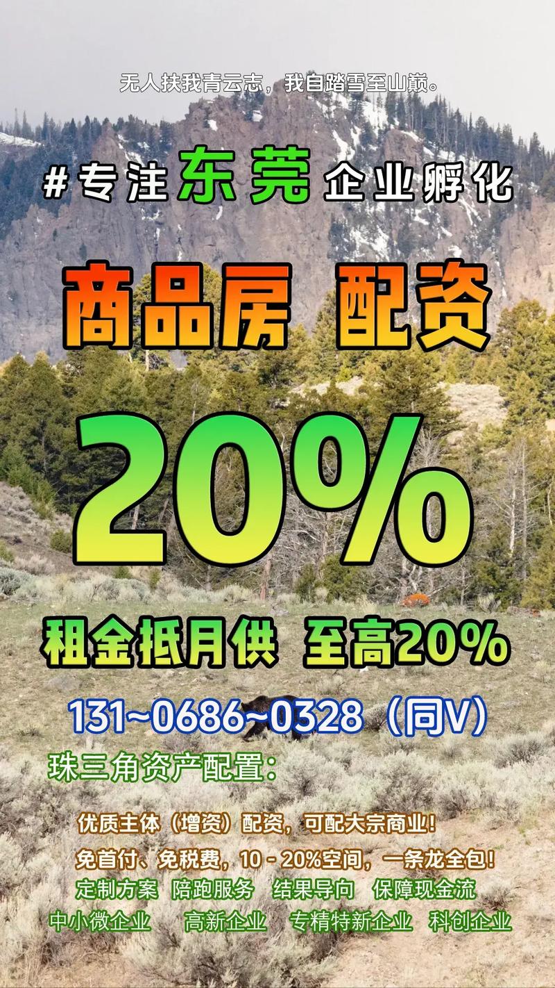 東莞企業孵化,貿易增量,資產配置怎么操作 主營電子產品,醫療